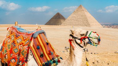 Bir deve ve Mısır piramidi bulutlu bir günde ve mavi gökyüzünde