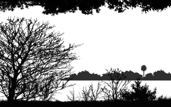 silhouette nature landscape tree vector black white background bush plant forest scene horizon vector design