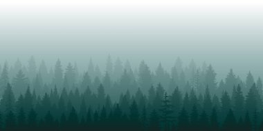 Sisli Orman Vektör Arkaplanı Sisli Kozalaklı Orman Peyzajında Evergreen Çam Ağaçları Silueti Tasarımı