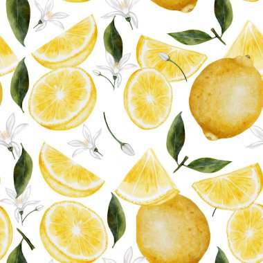 Limonsuz suluboya. Elle çizilmiş tropik ekşi meyve. Sulu sarı limonun kesme sanatı. İzole edilmiş beyaz arka planda citrus. Logo ve doğal kozmetik ambalajı için ideal.