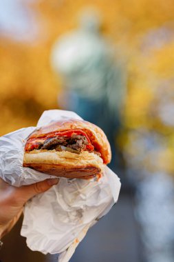 Arka planı bulanık olan, anıta karşı hamburger tutan adam.
