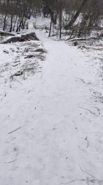 Bir adam kışın karlı ormanlarda yürür ve küçük bir nehrin üzerindeki köprüyü geçer..