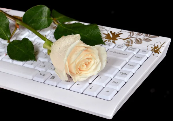 Rose on the keyboard on a black background — Stock Photo, Image
