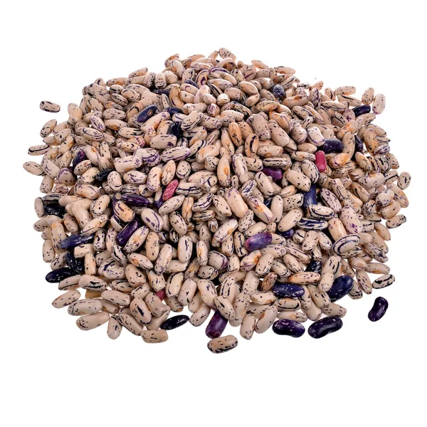 豆と白の背景にマメ科植物 — ストック写真
