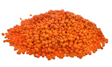 Beyaz bir arka planda turuncu deniz topalak