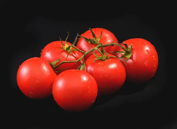 Frische rote Tomaten auf schwarzem Hintergrund — Stockfoto