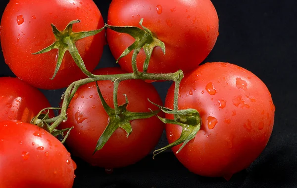 Frische rote Tomaten auf schwarzem Hintergrund — Stockfoto