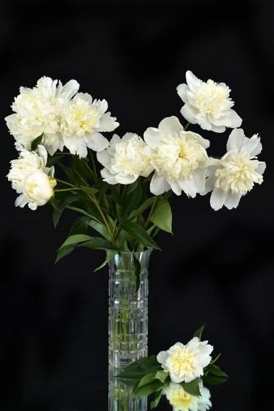 Bouquet di peonie su fondo nero in vaso — Foto Stock