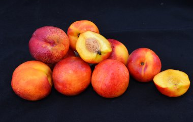 Siyah bir arka plan güzel şeftali