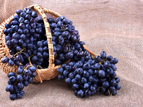Yakın çekim bir hasır sepet içinde siyah üzüm.