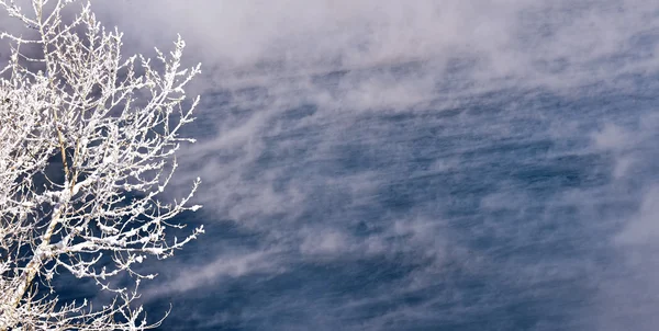 Rio de inverno e árvores cobertas com geada e neve branca — Fotografia de Stock
