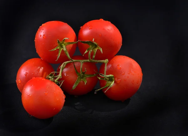 Frische rote Tomaten auf schwarzem Hintergrund — Stockfoto