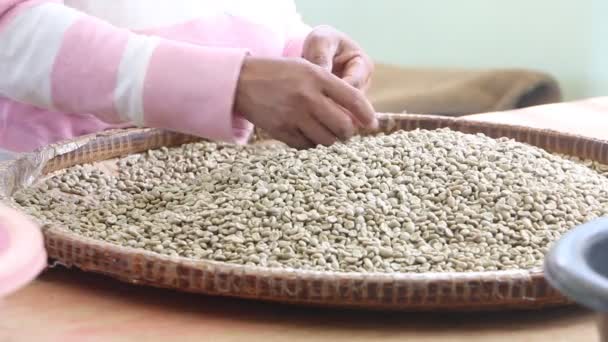 Trabalhadores que verificam a qualidade dos grãos de café — Vídeo de Stock