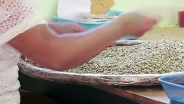Trabajadores revisando la calidad de los granos de café — Vídeo de stock
