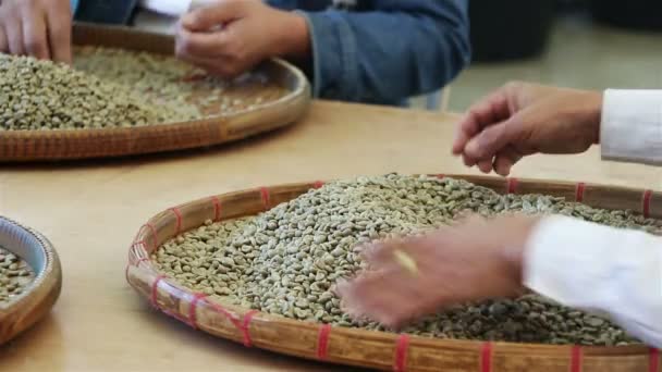 Trabalhadores que classificam grãos de café de má qualidade — Vídeo de Stock