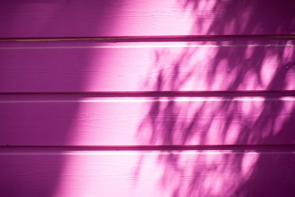 Bakgrund. Rosa vägg — Stockfoto