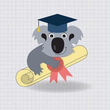 yüksek lisans diploması ile şapkalı koala.