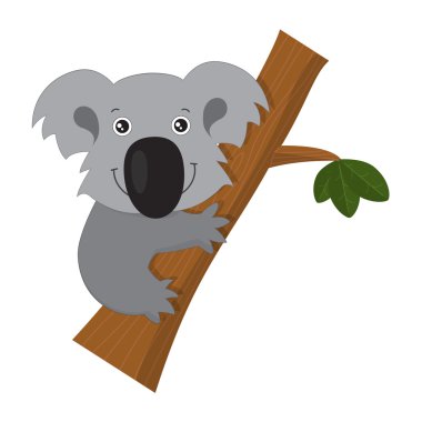 Sevimli çizgi Koala dalı
