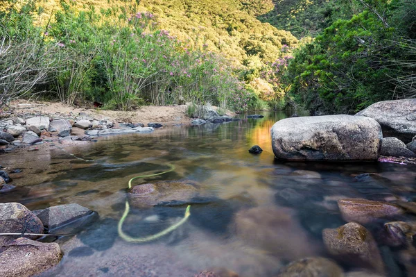 Fotos De Incontaminada Imágenes De Incontaminada Descargar Depositphotos