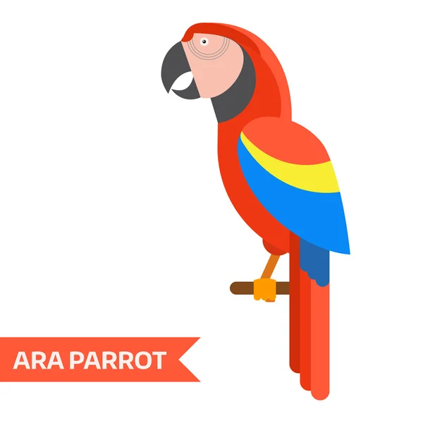 Red Ara Tropical Parrot — Stock vektor