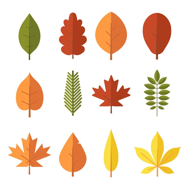Feuilles d'automne ensemble — Image vectorielle