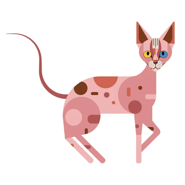 Геометрическая икона дизайна плоской кошки сфинкса без волос — стоковый вектор