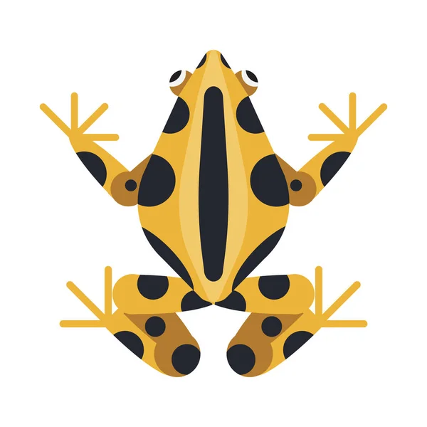 扁平设计中的热带毒性几何青蛙 — 图库矢量图片