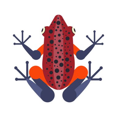 Düz Tasarımda Tropik Zehirli Kurbağa