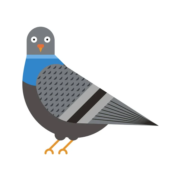 City Pigeon Fågelgeometrisk ikon i platt — Stock vektor