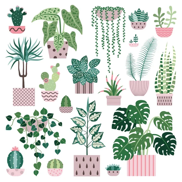 Plantas de casa Cacti e suculentas vasos de flores — Vetor de Stock