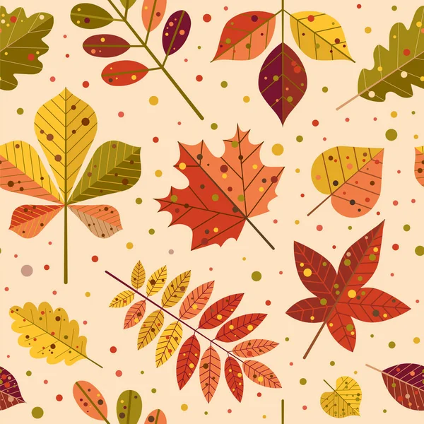 Podzimní listy a podzimní listoví vzor — Stockový vektor