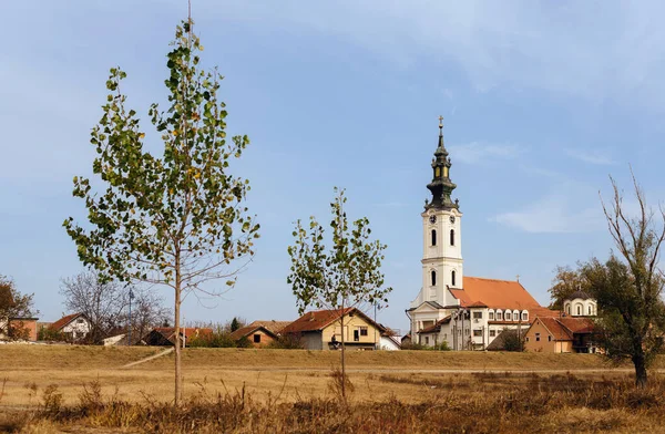 Futog Servië November 2018 Kerk Van Heilige Genezers Cosmas Damian — Stockfoto