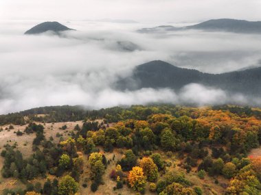 Sonbahar İHA 'sı, sonbahar renkleri ve sabah sisi olan dağ ormanlarının manzarası. Sonbaharda Sırbistan 'da Mokra Gora' nın hava manzarası. Alçak bulutlar vadiye ve dağların tepelerine yerleşti..