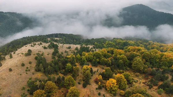 Sonbahar İHA 'sı, sonbahar renkleri ve sabah sisi olan dağ ormanlarının manzarası. Sırbistan 'da sonbaharda Mokra Gora' nın kuş bakışı manzarası. Alçak bulutlar vadiye ve dağların tepelerine yerleşti..