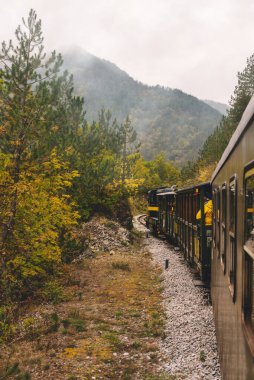 Sırbistan 'ın Mokra gora kentindeki Sargan Sekiz dar kalibreli demiryolu. Sonbaharda tren yolu boyunca seyahat eden bir sahne. Tren yolculuğu popüler bir turizm, nostaljik seyahat deneyimi..