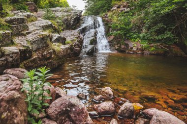 Draganov vir şelalesi ve yemyeşil manzaralı doğal havuz. Sırbistan 'ın Stara Planina Ulusal Parkı' ndaki Arbinje Doğa Koruma Alanı 'nın doğal cazibesi. Yürüyüş ve dağ bisikleti ile popüler doğal alan.