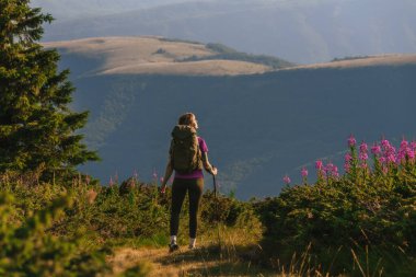 Turist sırt çantası taşıyan ve yürüyüş direkleri kullanan bir kadın dağlarda yürüyüş parkurunda, yuvarlanan tepeler, yeşil çayırlar ve çiçeklerle çevrili. Uzak bir bölgede sırt çantalı bir kadın..