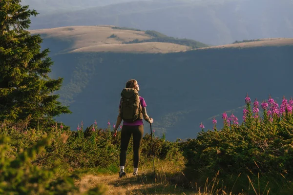 Turist sırt çantası taşıyan ve yürüyüş direkleri kullanan bir kadın dağlarda yürüyüş parkurunda, yuvarlanan tepeler, yeşil çayırlar ve çiçeklerle çevrili. Uzak bir bölgede sırt çantalı bir kadın..
