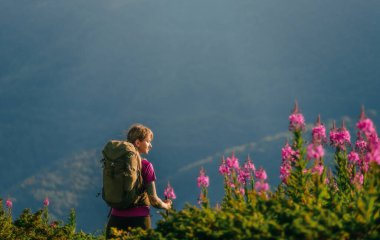 Pembe yakut çiçekleriyle çevrili dağlık alanda yürüyüş yapan turist çantalı bir kadın. Gündüz yürüyüşü yapan bir kadın ya da akşam güneşinin sıcacık parıltısıyla doğal dağlarda sırt çantasıyla gezen bir kadın..