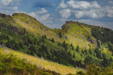 Sırbistan 'daki Stara Planina ulusal parkı içindeki Balkan Dağları' ndaki Tri Cuke zirvesinin yaz doğal manzarası. Sahne kayalık çıkıntılar ve yemyeşil bitki örtüsü dramatik gökyüzü altında beyaz bulutlar altında.