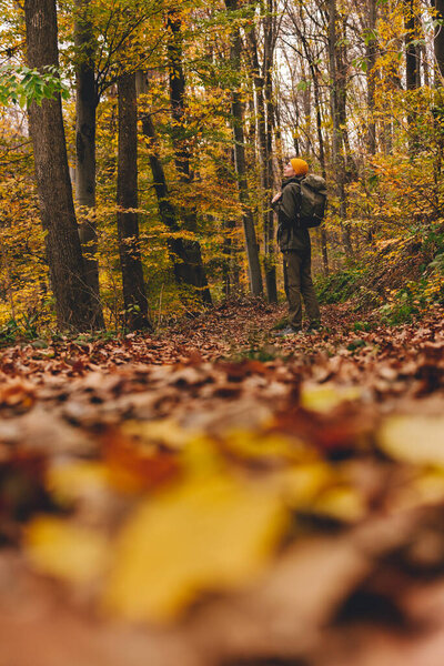 Lone hiker equipped with outdoor gear and tourist backpack standing on trail covered in fallen leaves. Man enjoying moment of peace, natural surroundings and fresh air during walk in autumn forest.