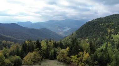 Sırbistan 'ın dağlık arazisi geleneksel Sırp kulübesi, orman tepeleri ve Zaovine gölü olan vadi manzaralı. Sonbahar Zmajevac 'ın Tara Ulusal Parkı içindeki hava perspektifi görüntüleri.