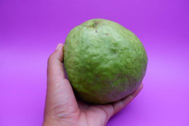 Mor Arkaplanda Kristal Guava İzole Edildi