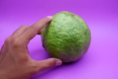 Mor Arkaplanda Kristal Guava İzole Edildi