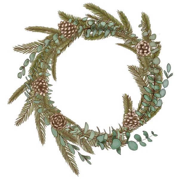Corona dibujada a mano con ramas de abeto, pino y eucalipto con conos. Marco redondo — Foto de Stock