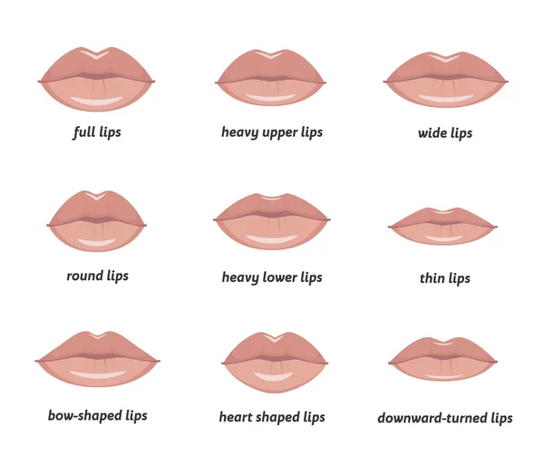 Kadının dudakları türleri. — Stok Vektör