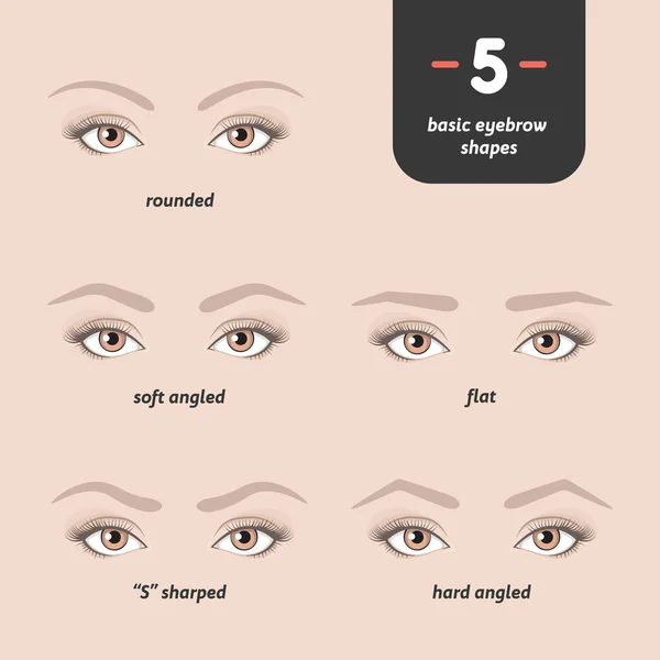 5 basic eyebrow shapes. — Stock Vector