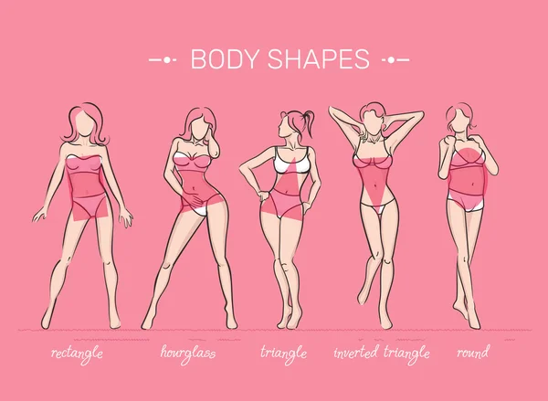 Woman body shapes. — Stock Vector