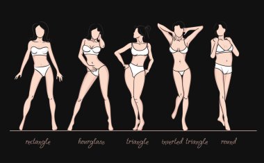 Women body shapes. clipart
