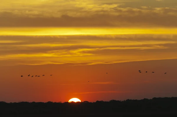 Um pôr-do-sol laranja brilhante Imagem De Stock